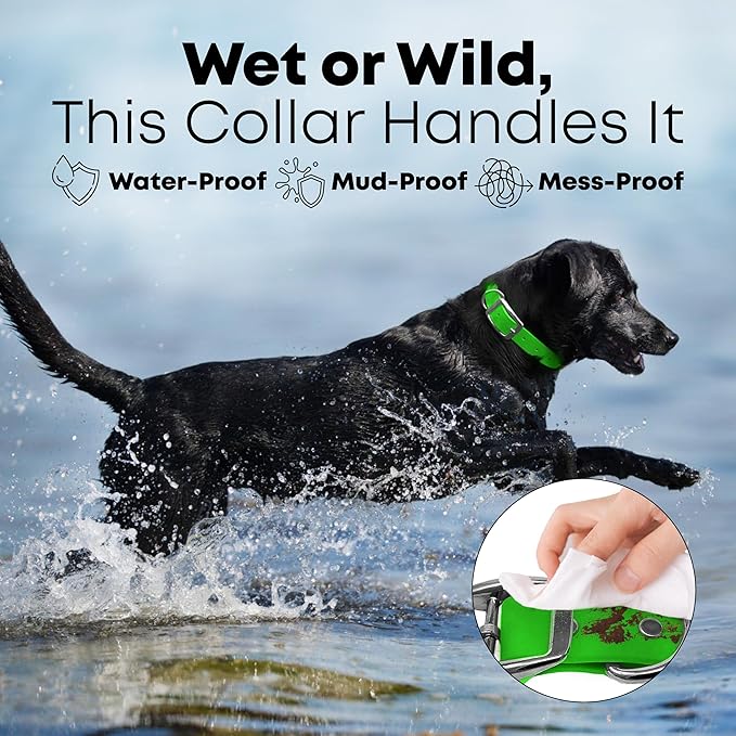 Regal Dog Products Small Light Green with Custom Engraved Waterproof Dog Collar and Leash Set | Waterproof Dog Collar with Double Buckle & D Ring - 5'ft Leash | Matching Dog Collar and Leash for Dogs