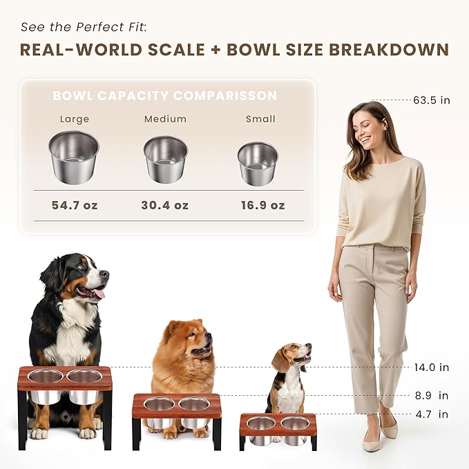 8.9" Tall Elevated Dog Bowls - Ergonomic Stainless Steel Dog Bowls with 10° Tilt in Acacia Wood Stand for Medium Breed