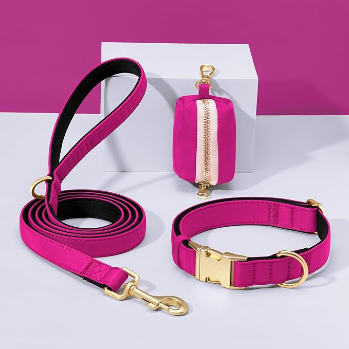 Didog Soft Padded Dog Collar for Large Dogs, Colorful and Durable Pet Collar with Quick Release Buckle, Light and Breathable for Daily Walking, Rose Purple, L