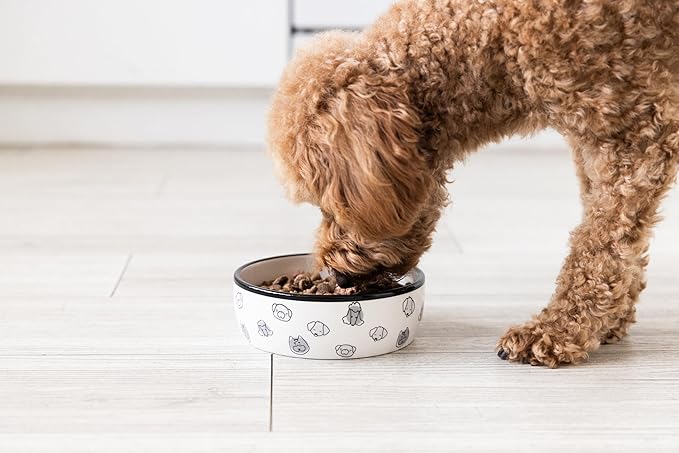 Pearhead Ceramic Dog Faces Dog Bowl, Holds 2 Cups, Stoneware Food and Water Dish for Dogs up to 20 lbs, Heavy Non-Slip Base, Small/Medium