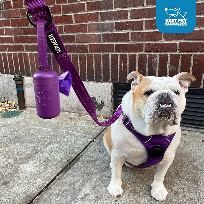 Best Pet Supplies Dog Poop Bag Holder Leash Attachment with 30 Bags, Reusable Dispenser for Travel, Walking, Park, and Outdoor Use, Durable with Clip-On - Pink, Pack of 2