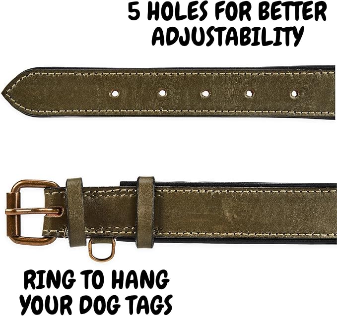 Real Leather Dog Collar Padded Soft Interiors with Premium Vintage Look Handcrafted Heavy Duty with Tag Ring for Small Medium and Large Pets (Medium (1.25" Wide for 13.5" - 17.5" Neck), Olive)