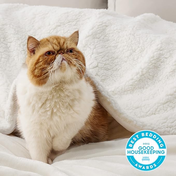 Bedsure GentleSoft Sherpa Fleece Blanket Queen Size for Bed, Non-Heated, Thick and Warm Throw for Women and Men, Soft Fuzzy Plush Queen Blanket for Winter, Cream, 90x90 Inches