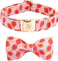 Elegant Little Tail Spring Dog Collar with Strawberry Print Cotton Soft Floral Collar for Small Dogs