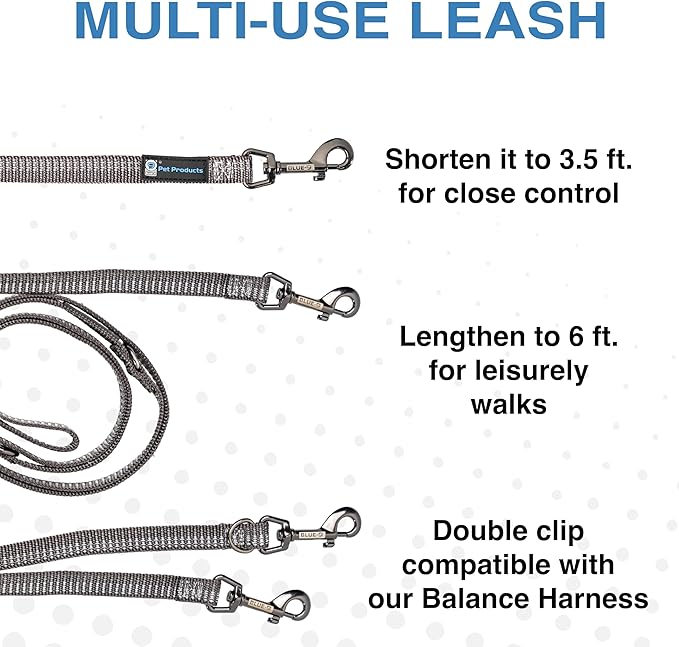 Blue-9 Reflective Multi-Function Dog Leash, Double Attachment Adjustable Lead for Obedience Training and Running, 6 Feet, Made in The USA, Small/Medium, Grey