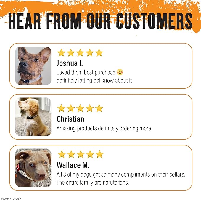Naruto Dog Collar for Large Dogs, Medium, Small, XS Puppy Collars: Officially Licensed Naruto Shippuden Anime Dog Collar Pet Accessories, Naruto Gifts for Boy or Girl Dog (Black, Rogue Rain, Large)
