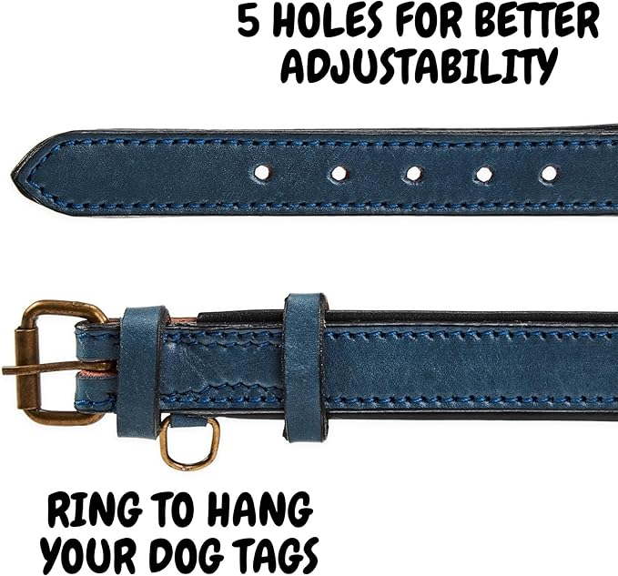 Real Leather Dog Collar Padded Soft Interiors with Premium Vintage Look Handcrafted Heavy Duty with Tag Ring for Small Medium and Large Pets (Small (1" Wide for 10.75" - 13.75" Neck), Ocean Blue)