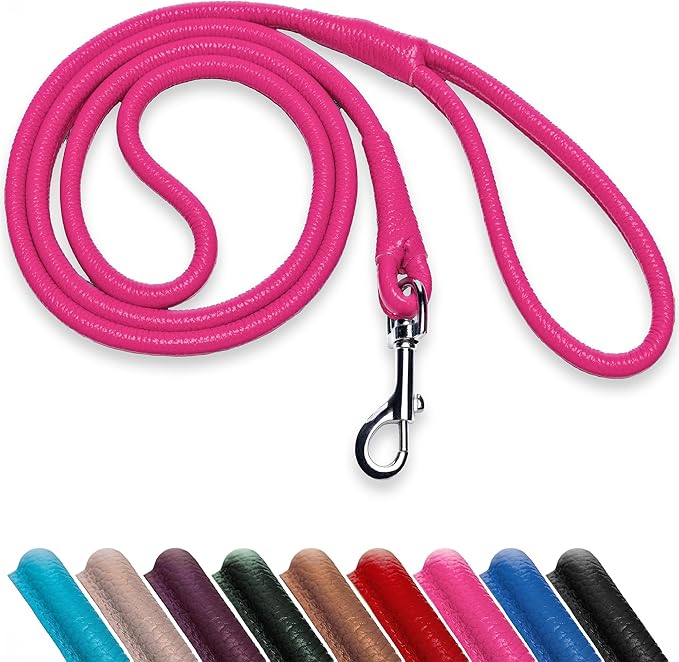 OOPSDOGGY Rolled Leather Dog Lead 6ft Heavy Duty Training Leash for Small Medium Large Dogs & Puppy Black Brown Red (Pink, Large)