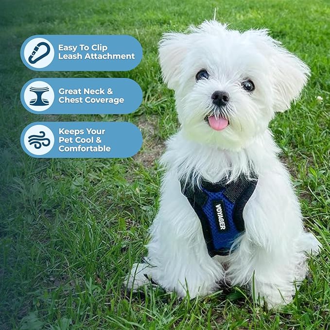 Voyager Step-in Pet Harness - All Weather Mesh, Adjustable Step in Harness for Cats and Dogs by Best Pet Supplies - Royal Blue/Black Trim, S