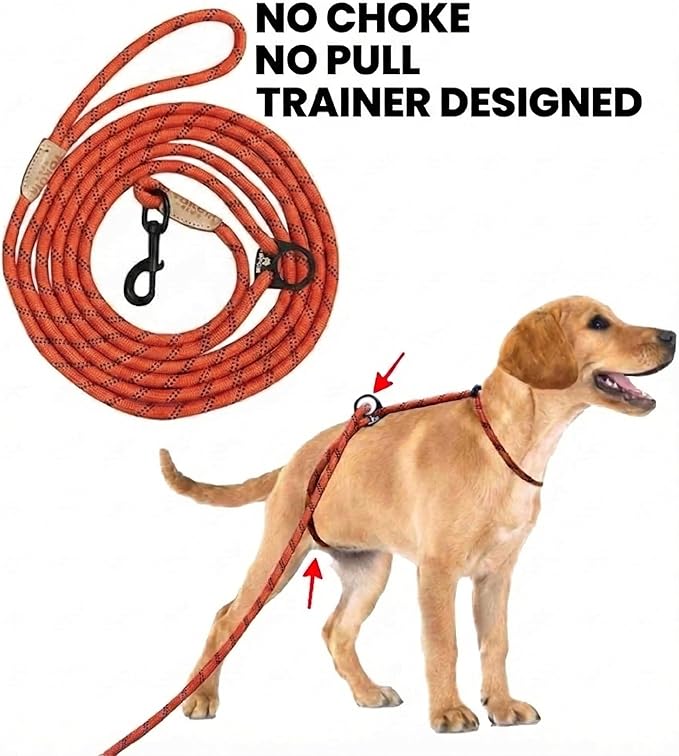 12ft No Choke Leash Long Rope Dog Leash, Anti Pulling Dog Leash, Dog Harness and Leash, Dog Leads for Walking, Double Hook & Escape Proof for All Breeds, Reflective Red