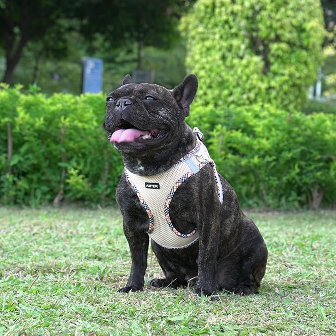 AMTOR Small Dog Harness with Leash Set, No Escape Easy Walk Puppy Harnesses for Training Walking, Step-in Reflective Soft Dogs Vest for XS S Medium Extra-Small Large Sized Dog(Beige,M)