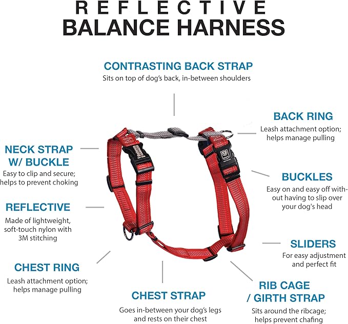 Blue-9 Reflective Buckle-Neck Balance Harness, Fully Customizable Fit No-Pull Harness with 3M Reflective Stitching, Ideal for Dog Training and Obedience, Made in The USA, Red, Large