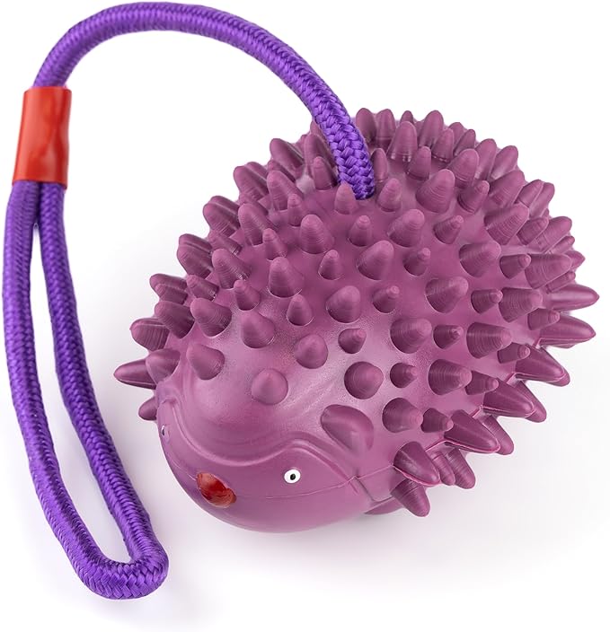 Eco Rubber Chuck & Treat Hedgehog - Purple - Long Lasting Dog Chew Toys for Aggressive Chewers Strong Dog Toy for Dogs Durable Puppy Toys