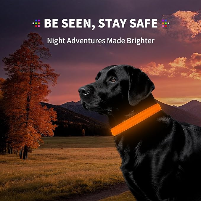 PetIsay Dog Light up Collar for Night Walking - High Visibility LED Dog Collar - Rechargeable - Waterproof - Reflective - Adjustable Lighted Glow Collars(Orange, Medium)
