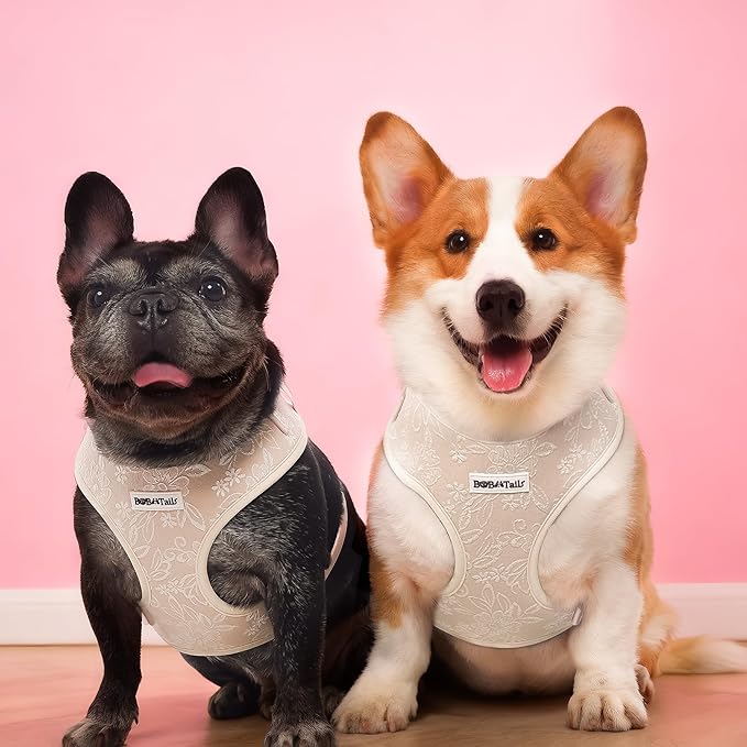 No Pull Dog Vest Harness for Small&Medium Dogs, Side Clip Adjustable Pet Vest, Soft Breathable, Fashion Dog Harnesses for Walking, Running, Shopping (Nude, XS)