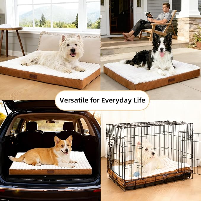 Orthopedic Dog Bed with Firm High-Density Egg Crate Foam Mattress,Machine Washable Cover & Non-Slip Bottom for Small Breeds & Toy Dogs (Brown, 23" L x 17" W x 3" H)
