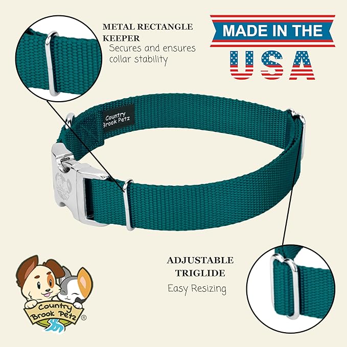Country Brook Petz - Premium Nylon Dog Collar with Metal Buckle for Small Medium Large Breeds - 10+ Cool Colors (Extra Large, 1 Inch, Teal)
