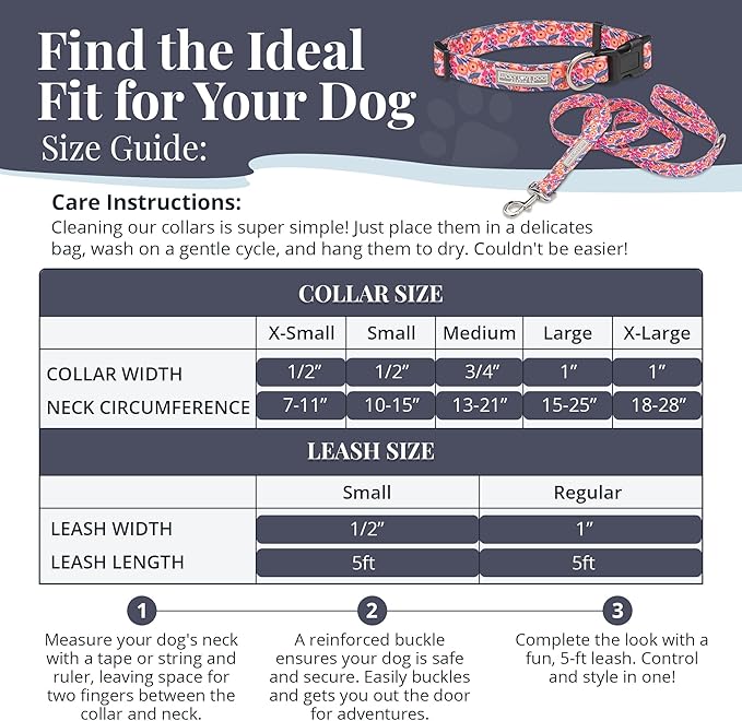 Lucky Love Dog - Easy Click Buckle Dog Collar with Leash Set Combo, Durable & Comfortable for Male & Female Dogs, Pet Collar for Small Dogs, Secure Fit - Floral Rosie Combo, X-Small