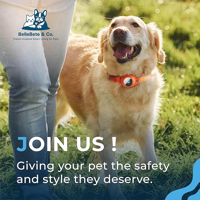 BelleBête & Co. AirTag Dog Collar – Pet Tracking Collar with Patented Anti-Loss Design, Durable and Reinforced Nylon, All-Day Comfort, Stylish Color for Medium and Large Dogs (Teal, M: 15"-17.7")