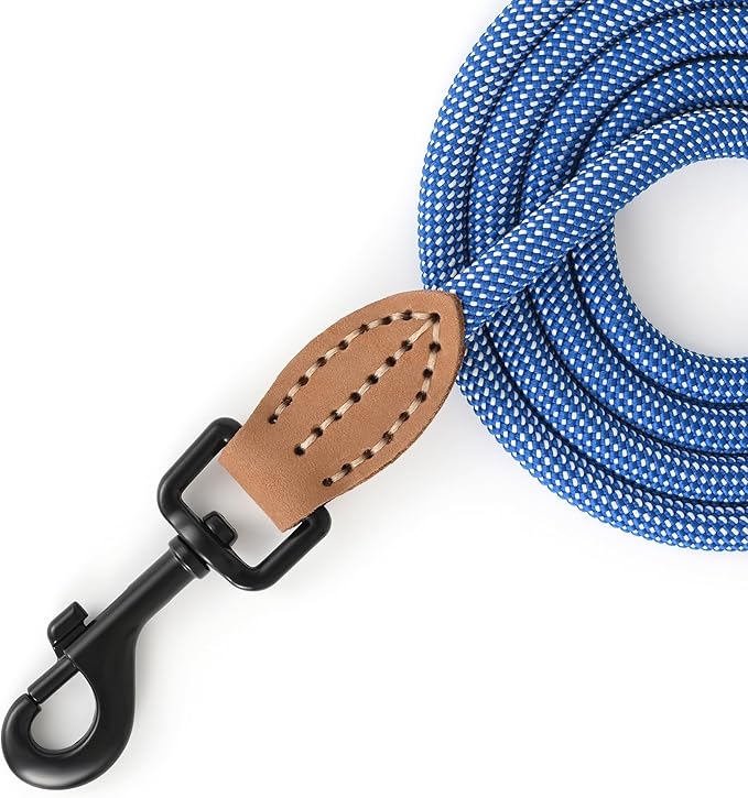 Mile High Life Small Dog Leash, Thin Rope Leash with Genuine Leather Connection and Heavy Duty Metal Clasp, Great for Small Medium Dogs(Blue White,72 Inch-1/3)