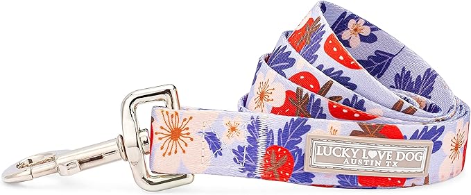 Lucky Love Dog Leash – Soft, Durable, and Comfortable Leash with Vibrant Patterns – Stylish and Long Lasting for Large Male and Female Dogs – Sweet Berry, Large