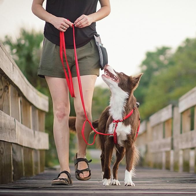 Blue-9 Reflective Dog Leash, Multi-Function 6 Foot Adjustable Lead with Traffic Loop and 3M Reflective Stitching for Obedience, Running, and Agility Training, Made in The USA, Medium/Large, Red