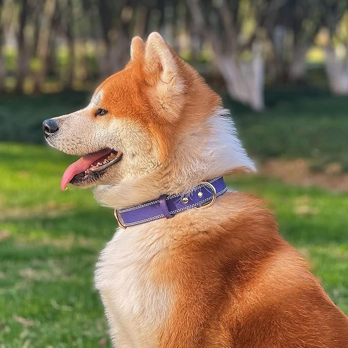 Genuine Leather Dog Collar, Heavy Duty Dog Collar, Wide Dog Collar for Small, Medium, Large and Extra Large Dogs (L: 1.2" Wide for 16.2"-22" Neck, Dual Stitch - Purple)