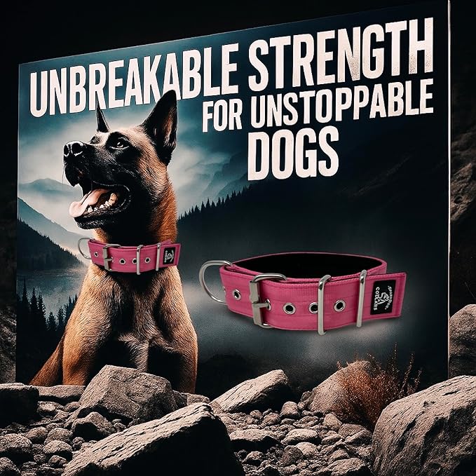 SparkDog Collars Working Dog Collar - 2" 4ply Padded Dog Collar Heavy Duty Stainless Steel Tactical Seatbelt Wide Buckle Collar (Pink 2.0, 16-21" Large)