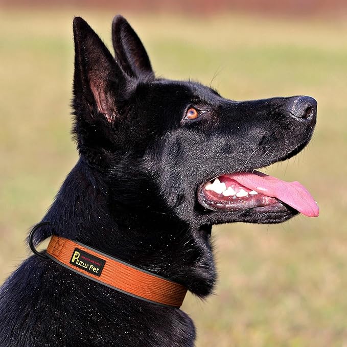 Plutus Pet Tactical Dog Collar, Reflective, Adjustable Heavy Duty Dog Collar, Soft Padded and Comfortable, for Small Medium and Large Dogs (Orange, XL)