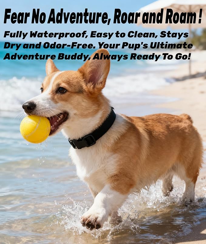 Waterproof Dog Collar, Rubber Adjustable Collars with Quick Release Buckle, Odor-Resistant, Easy to Clean Pet Collars for Small Medium or Large Dogs (Turquoise, L 15.4-24.8 inch)