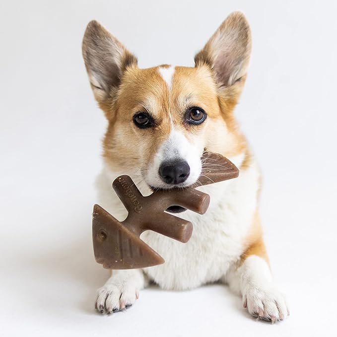 Benebone Wishbone and Fishbone Durable Dog Chew Toys for Aggressive Chewers, Made in USA