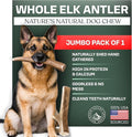 Mountain Valley Elk Antlers for Dogs - 100% Natural & Organic Chew for Aggressive Chewers, No Odor, No Mess, Long Lasting - Wild-Foraged Naturally Shed Antlers in USA - Grade A, Whole Jumbo (1 Pack)