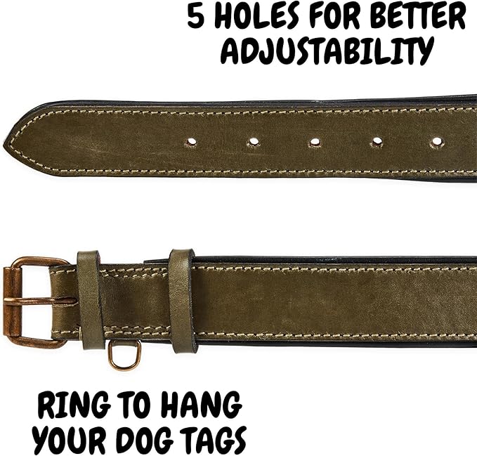 Real Leather Dog Collar Padded Soft Interiors with Premium Vintage Look Handcrafted Heavy Duty with Tag Ring for Small Medium and Large Pets (Large (1.5" Wide for 16.5" - 20.5" Neck), Olive)