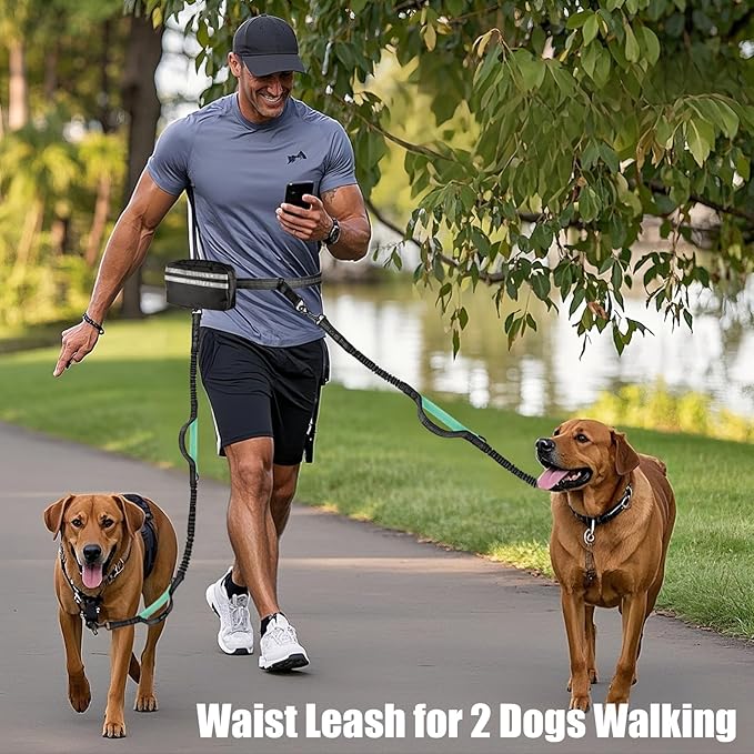 Hands Free Dog Leash Waist & Crossbody for Walking, No Pull Heavy Duty Bungee Double Dog Leash for Two Dogs with Pouch, Padded Handles & Reflective for Large Medium Dogs, Black