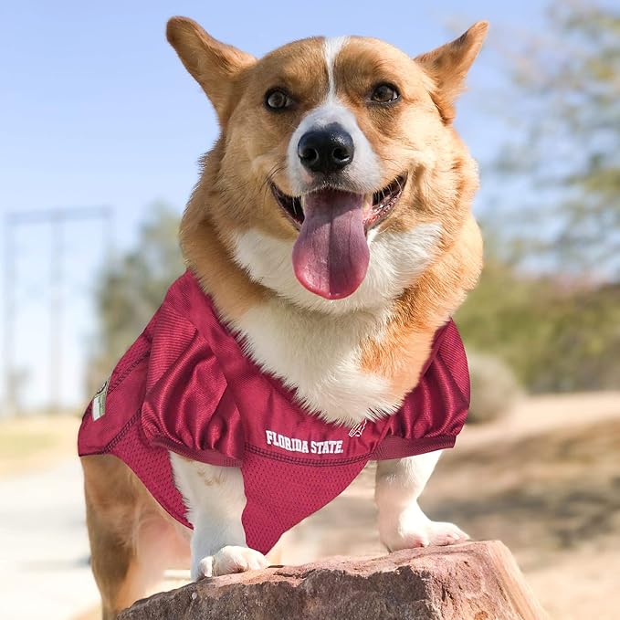 Pets First NCAA College Florida State Seminoles Mesh Jersey for DOGS & CATS, X-Small.Licensed Dog Jersey with your Favorite Football/Basketball College Team