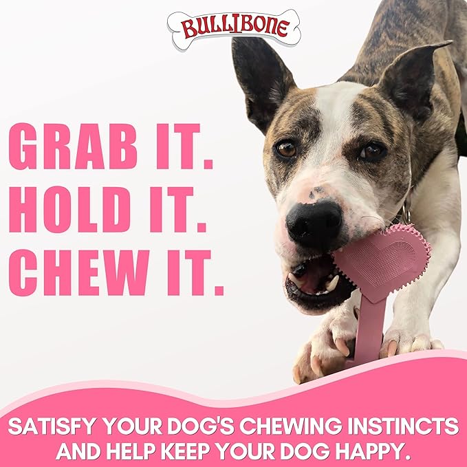 Bullibone Nylon Dog Chew Toy for Aggressive Chewers - Dental Hygiene Bone with Peppermint Flavor, Durable Tough Chew Toys for Small Dogs, Indestructible Dog Bone - 2 Pack