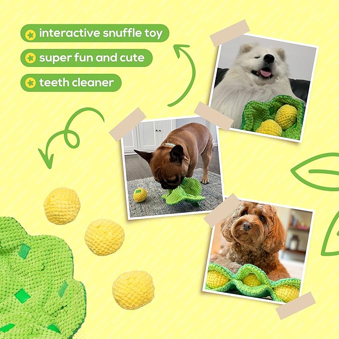 Pea Pod Interactive Dog Toy - Snuffle Nosework Stress Relief - Hide Treat Food Puzzle - Small Medium Dog - Durable Dog Gift Birthday