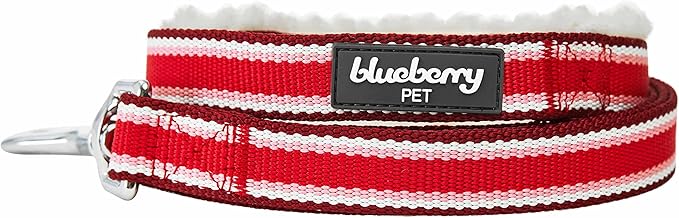 Blueberry Pet Multi-Colored Stripe Fleece Padded Dog Leash with Soft & Comfortable Handle, 4 ft x 1", Red, Large, Leashes for Dogs