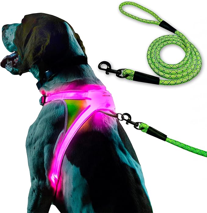 Noxgear LightHound (Small) + High-Visibility Dog Leash – Illuminated and Reflective Harness for Dogs Including Multicolored LED Fiber Optics (USB Rechargeable, Adjustable, Lightweight, Rainproof)