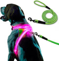 Noxgear LightHound (X-Large) + High-Visibility Dog Leash – Illuminated and Reflective Harness for Dogs Including Multicolored LED Fiber Optics (USB Rechargeable, Adjustable, Lightweight, Rainproof)