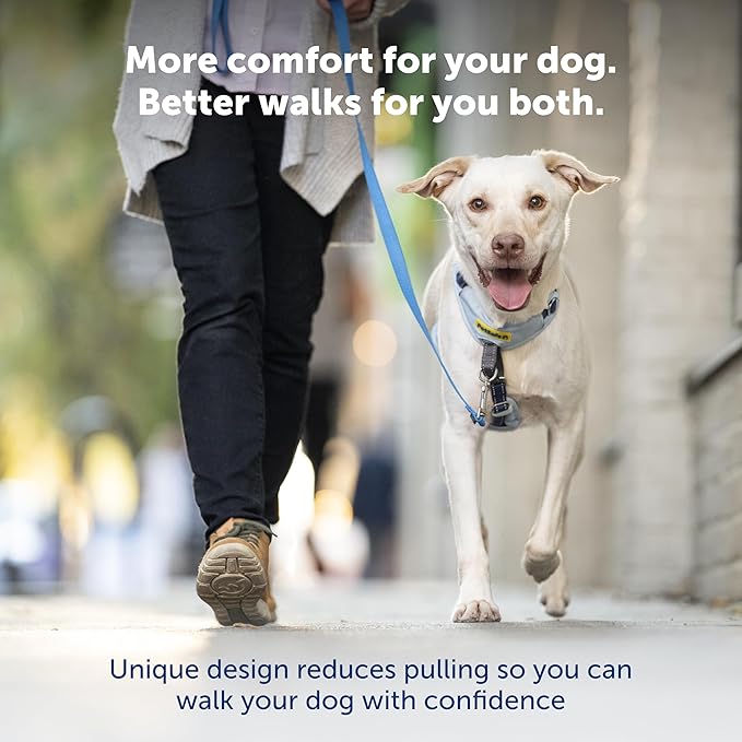 PetSafe Easy Walk Comfort No-Pull Dog Harness - Better Walk Training Harness - Full Body Padded Design - Durable Fabric - 5 Point Adjustable Fit - Everyday Leash Training - Blue - Small/Medium
