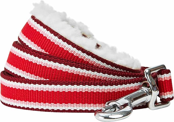 Blueberry Pet Multi-Colored Stripe Fleece Padded Dog Leash with Soft & Comfortable Handle, 5 ft x 3/4", Red, Medium, Leashes for Dogs