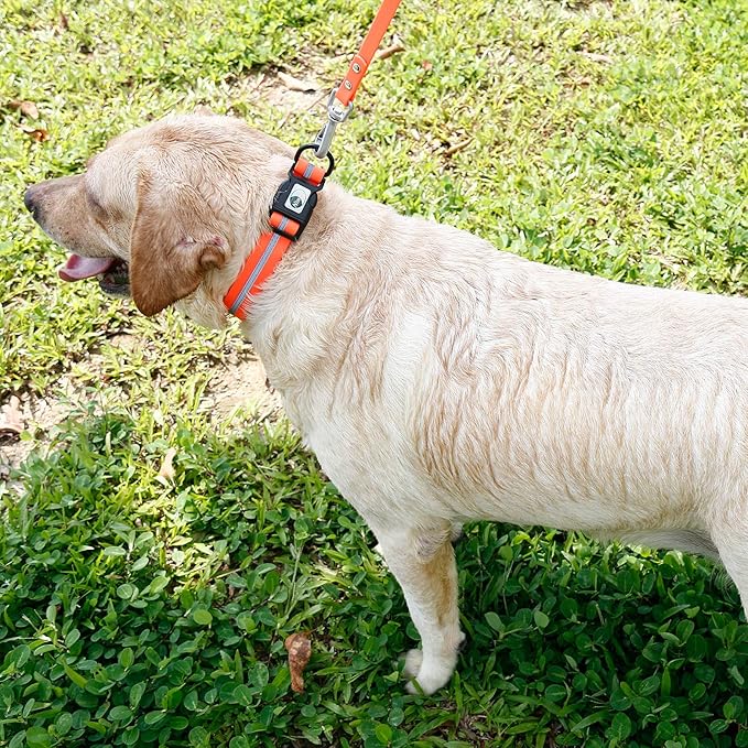 NIMBLE Dog Collar Waterproof Pet Collars Anti-Odor Durable Adjustable PVC & Polyester Soft with Reflective Cloth Stripe Basic Dog Collars S/M/L Sizes (Medium (11.81”-18.5”inches), Orange)