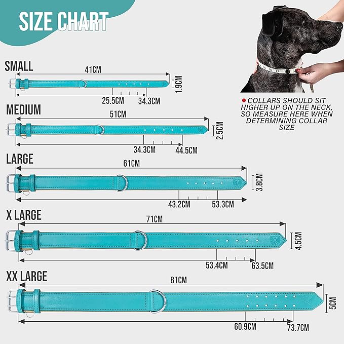 Riparo Adjustable Leather Dog Collar - Heavy Duty Wide Dog Collar for Small, Medium, Large and Extra Large Dogs with Dog Tag Holder (XXL: 2” Wide for 26”-29” Neck, Aqua)