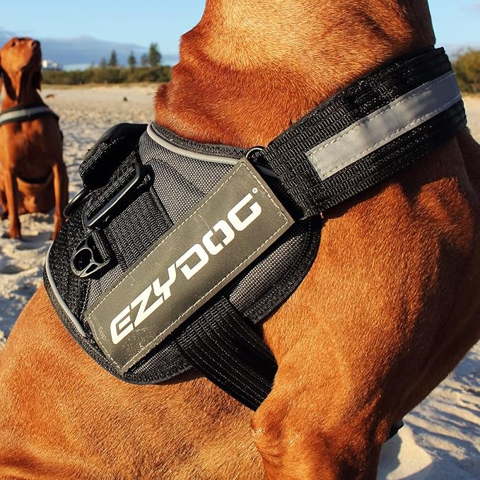 EzyDog Convert Dog Harness – Trail-Ready Rugged Harness for Walking, Hiking & Outdoors with Reflective Piping, Badge Attachment Points, Traffic Handle, & Comfort Lining (X-Small, Charcoal)