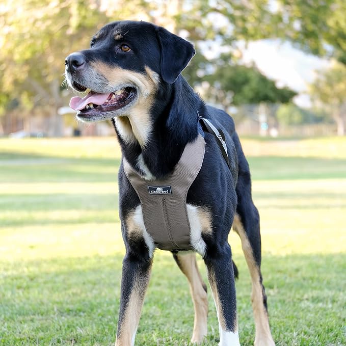 Clickit Sport Plus - Crash-Tested and Safety Certified Car Seat Belt Harness for Dogs (Medium, Olive Green)