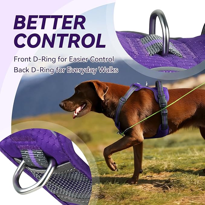 VIVAGLORY Dog Harness Easewalk No Pull Dog Harness with Handle Front Clip & Back Clip for Training Walking Lifting, No Pull Adjustable Easy On Padded Comfortable for Pet, S, Purple - Patterned