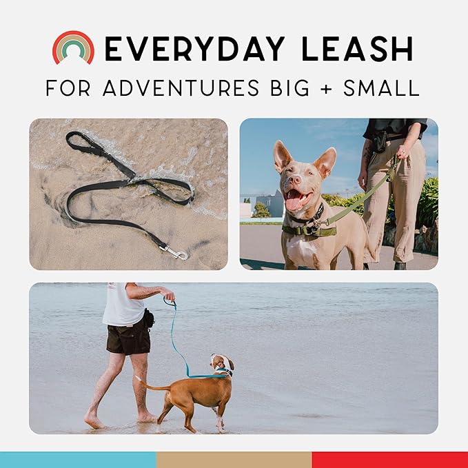 Wildebeest Funston Waterproof Dog Leash - Heavy Duty 6ft Long Leash for Small, Medium and Large Dogs - 1000D Nylon Scratch & Stink-Resistant & Pill-Free - Nylon Wrap Handle (3/4" Wide, 6 ft Length)