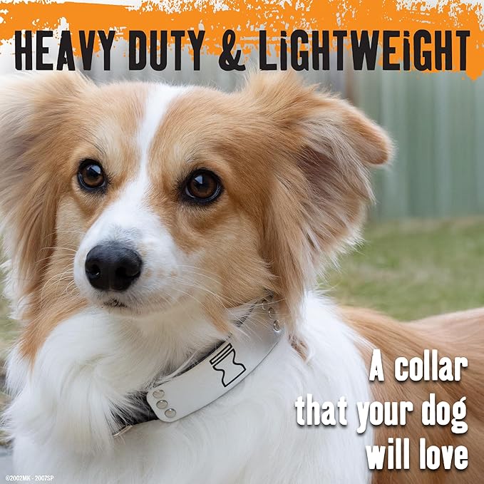 Naruto Dog Collar for Large Dogs, Medium, Small, XS Puppy Collars: Officially Licensed Naruto Shippuden Anime Dog Collar Pet Accessories, Naruto Gifts for Boy or Girl Dog (Black, Hidden Sand, Medium)