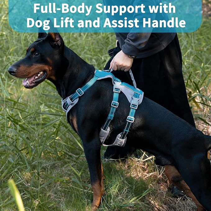 Huntboo Reflective Dog Harness with Handle, Escape Proof, No Slip, Breathable, Lightweight, Adjustable Lift Harness for Small, Medium, and Large Dogs Walking, Training, and Running Gear(Teal Blue,XL)
